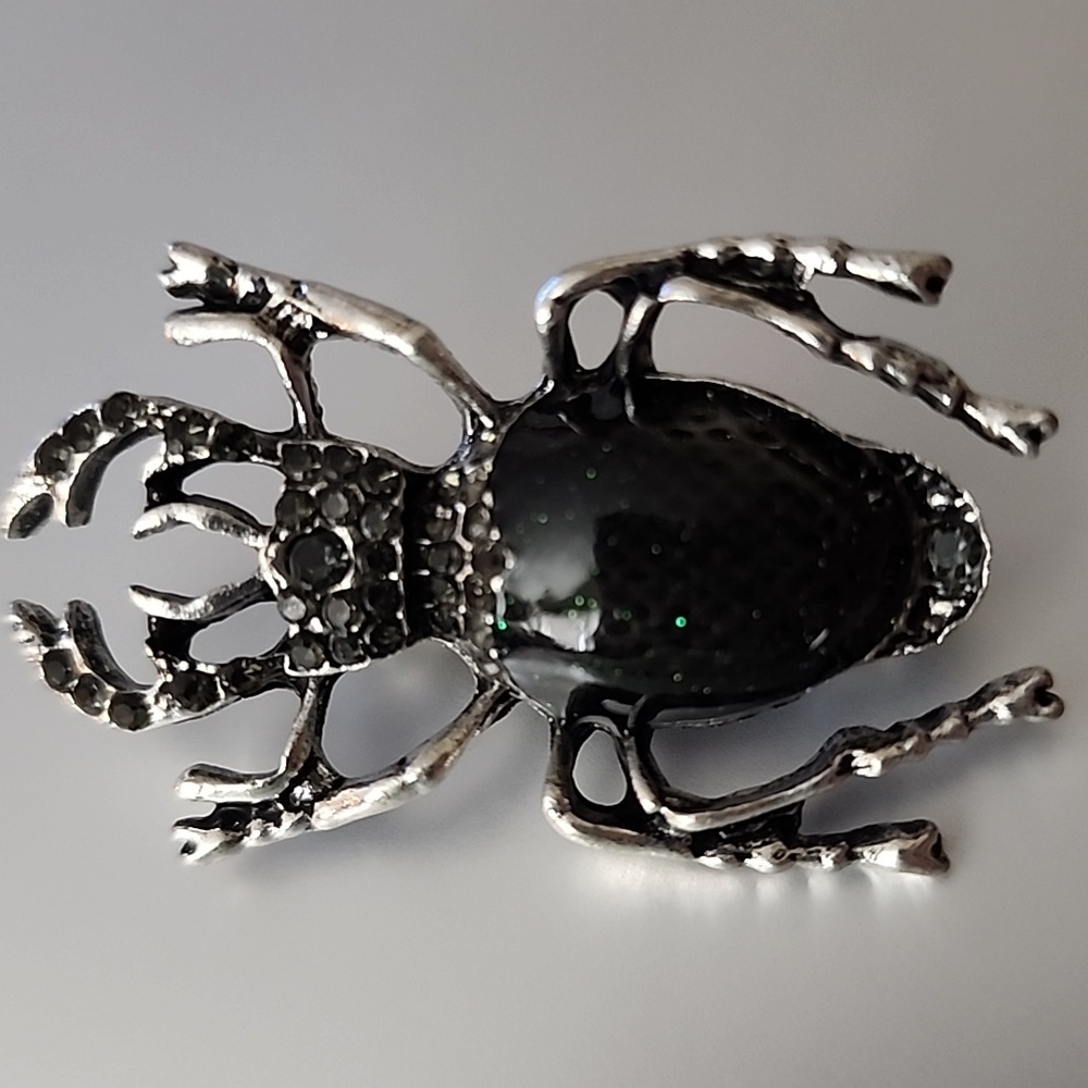 Beetle Bug Brooch Necklace Combo  Just Amazing Must have not for the Gir…